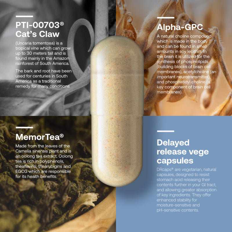 3129-srw-nrv1-nervous-system-focus-vege-capsules-60s-4.jpg SRW Nrv1 Nervous System Focus Vege Capsules 60s